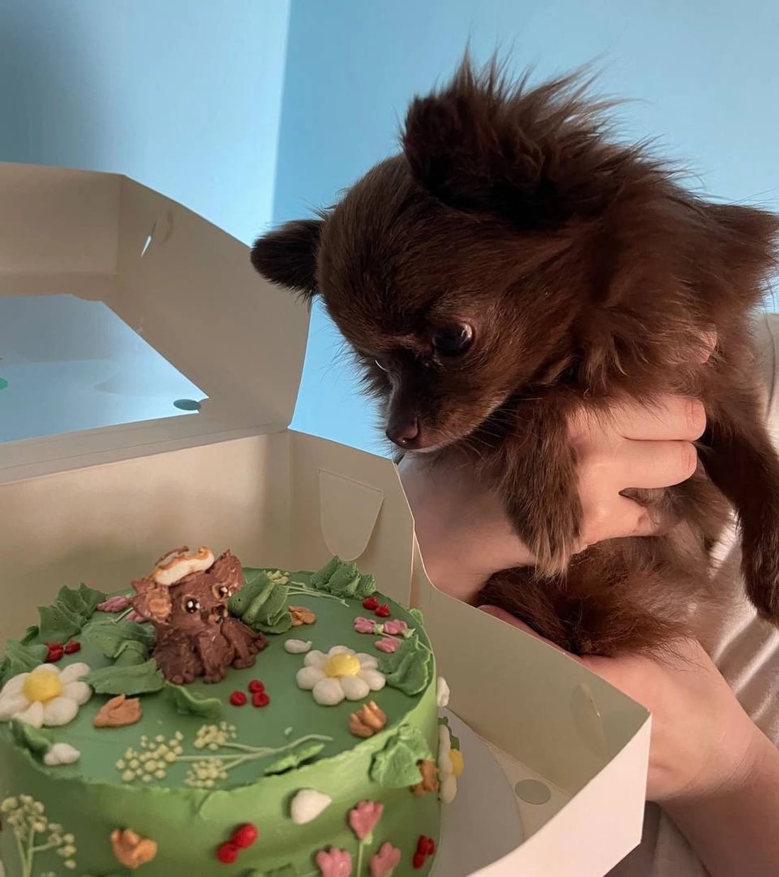 Торты На Свадьбу Кондитерская Cozy Cakes Смешные Торты