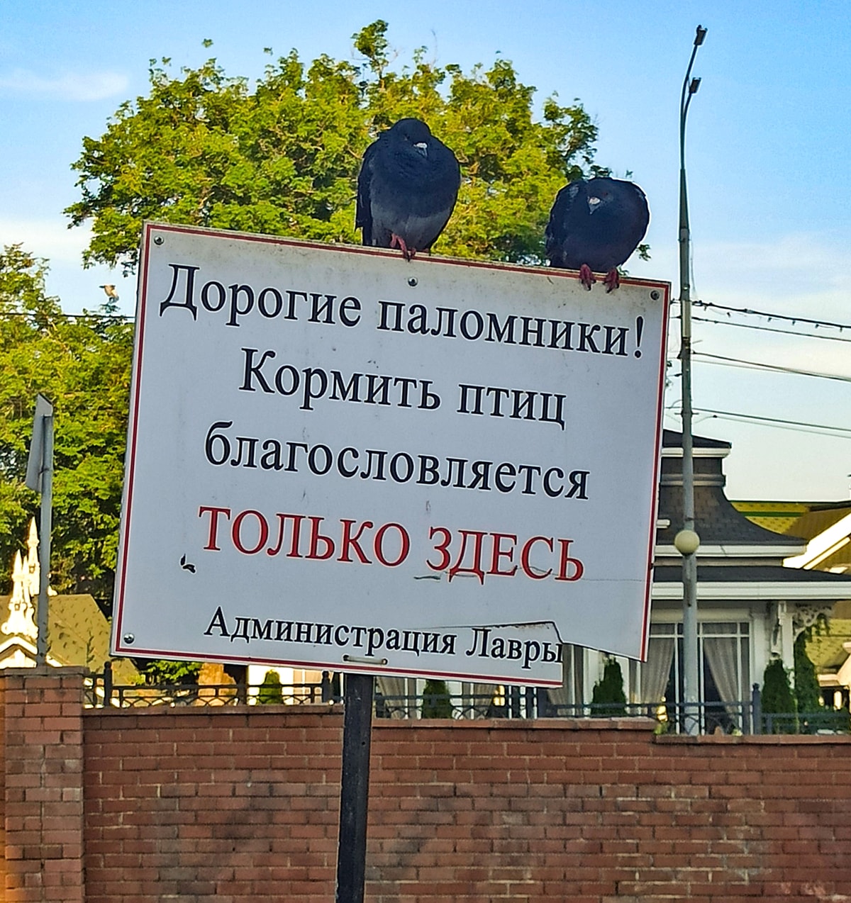 Сергиев Посад Медовый Месяц В России Путешествия Без Виз3